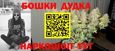 прущий лед Будённовск