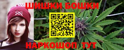 прущий лед Будённовск
