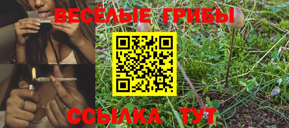 Псилоцибиновые грибы ЛСД Ставрополь